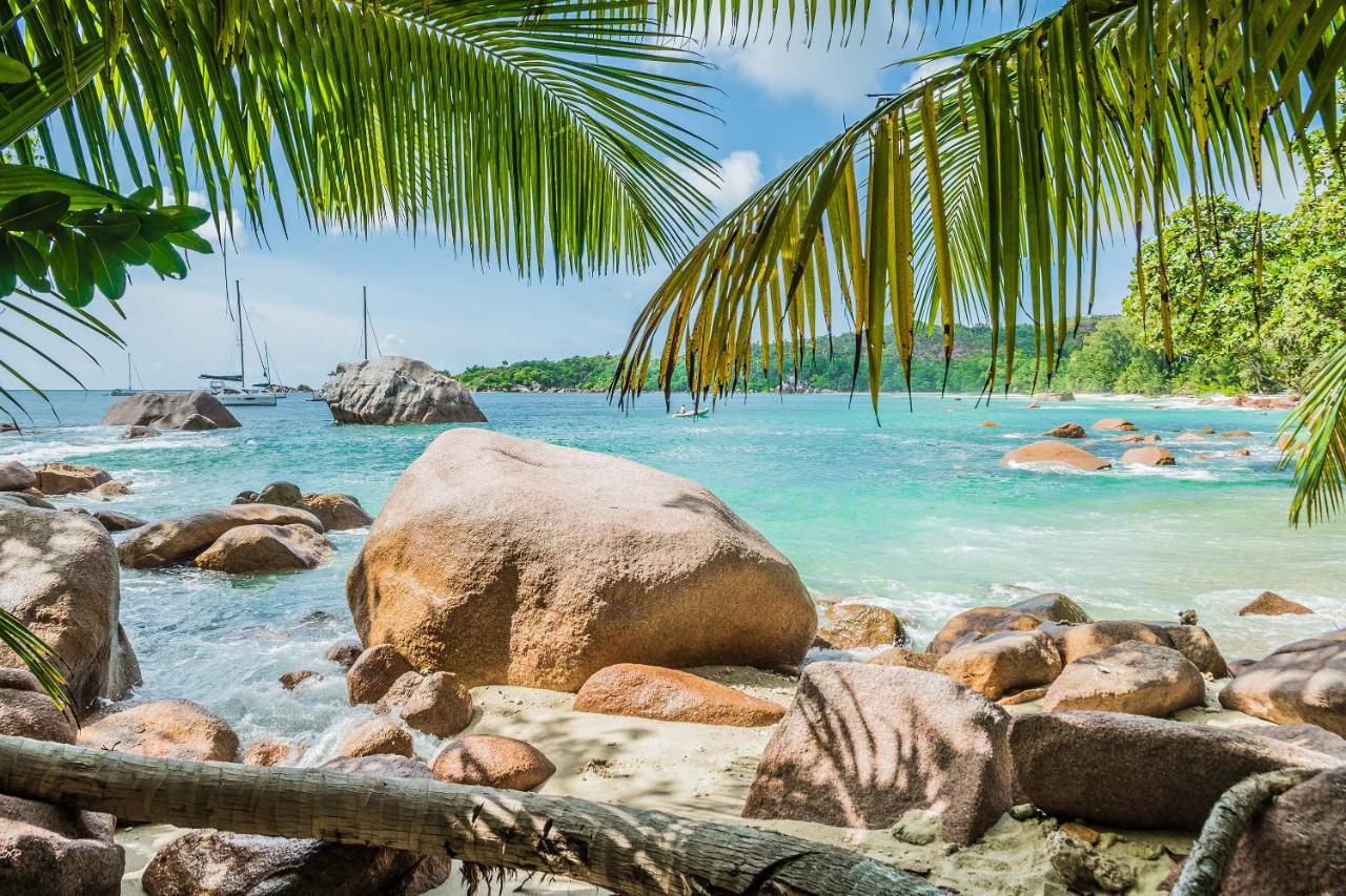 Lou Lou Bungalow Grand Anse  ภายนอก รูปภาพ