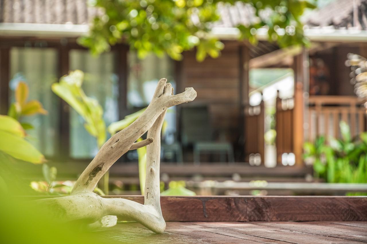 Lou Lou Bungalow Grand Anse  ภายนอก รูปภาพ