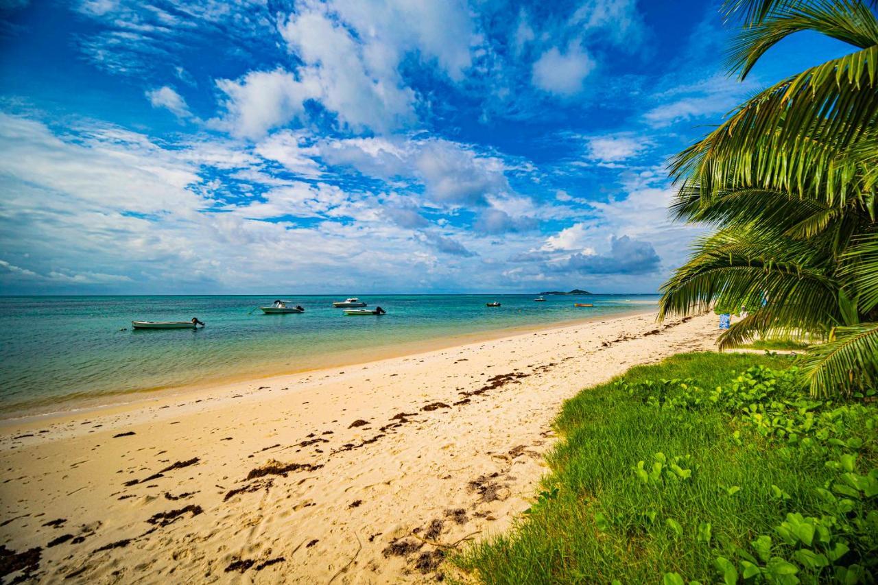 Lou Lou Bungalow Grand Anse  ภายนอก รูปภาพ