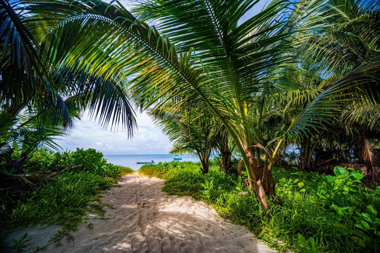 Lou Lou Bungalow Grand Anse  ภายนอก รูปภาพ
