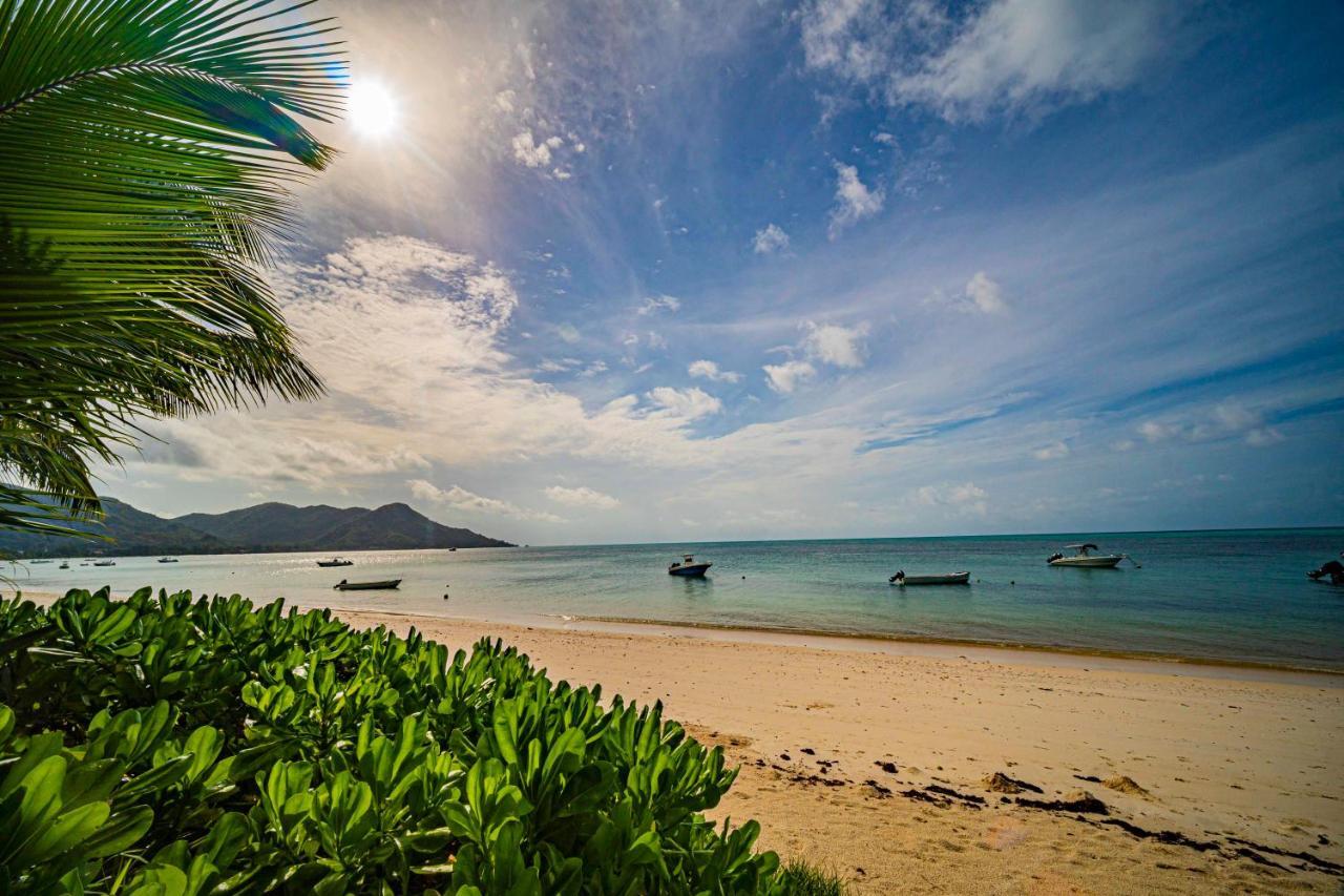 Lou Lou Bungalow Grand Anse  ภายนอก รูปภาพ